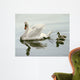 Mute Swan and Three Wall Decal