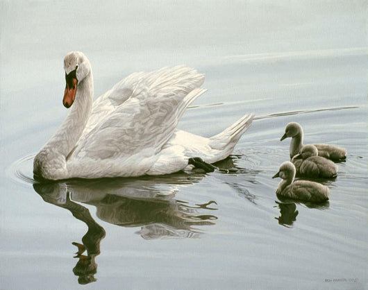 Mute Swan and Three Wall Decal
