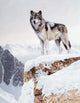 Snow Bound Wall Decal