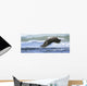 Wind Waves Wall Decal