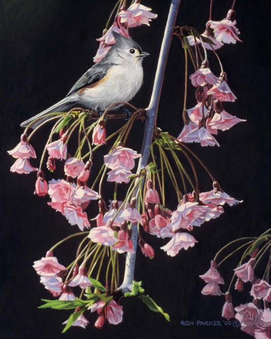 Titmouse and Blossoms Wall Decal