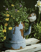 Coffee Pot Wall Decal