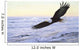 Ocean Dawn Eagle Wall Mural