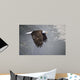 Mystic Forest Wall Decal