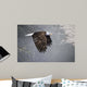 Mystic Forest Wall Decal