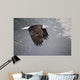 Mystic Forest Wall Decal
