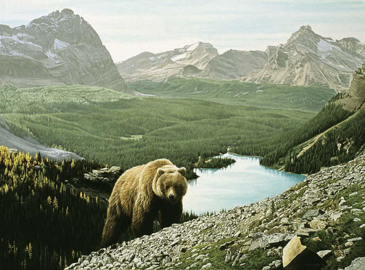 Lake O'Hara Wall Decal