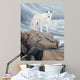 White Wolf Wall Mural
