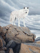 White Wolf Wall Mural