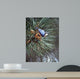 Nuthatch Pine Cone Wall Decal