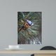 Nuthatch Pine Cone Wall Decal