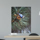 Nuthatch Pine Cone Wall Decal