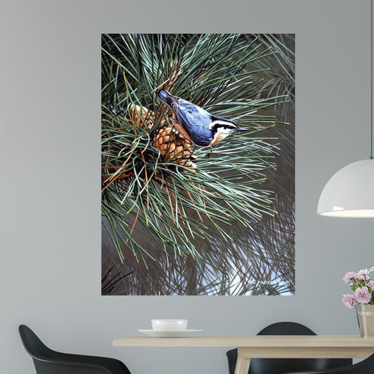 Nuthatch Pine Cone Wall Decal