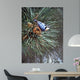 Nuthatch Pine Cone Wall Decal