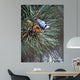 Nuthatch Pine Cone Wall Decal