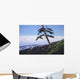 Western Shore Wall Decal