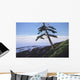 Western Shore Wall Decal