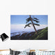 Western Shore Wall Decal