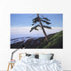 Western Shore Wall Decal