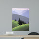 Hurricane Ridge Wall Decal