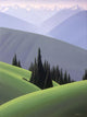 Hurricane Ridge Wall Decal