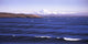 Oak Bay Afternoon Wall Decal