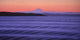 Oak Bay Dawn Wall Decal