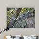 Baby Blues Wall Decal
