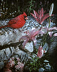 Garden Wall - Wall Decal