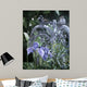 Old Wicker Wall Decal