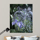 Old Wicker Wall Decal