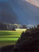 St Mart's Valley Wall Decal