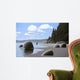 Looking North Wall Decal