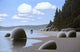 Looking North Wall Decal