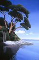 Arbutus Cove Wall Decal