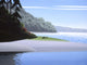 Morning Light Wall Decal