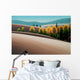 Autumn Aspen Wall Decal