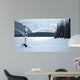 Frozen Lake Wall Decal