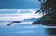 Heavy Skies Wall Decal