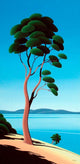 Island Arbutus Wall Decal