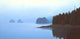 Meares Island Wall Decal