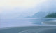 Misty Morning Wall Decal