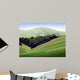 Near Petaluma Wall Decal