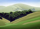 Near Petaluma Wall Decal