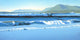 Pacific Surf Wall Decal