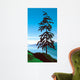 Sentinel Wall Decal Design 2