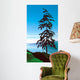 Sentinel Wall Decal Design 2