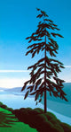 Sentinel Wall Decal Design 2