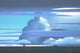 Shipping Lane Wall Decal