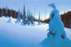 Snowy Dawn Wall Decal